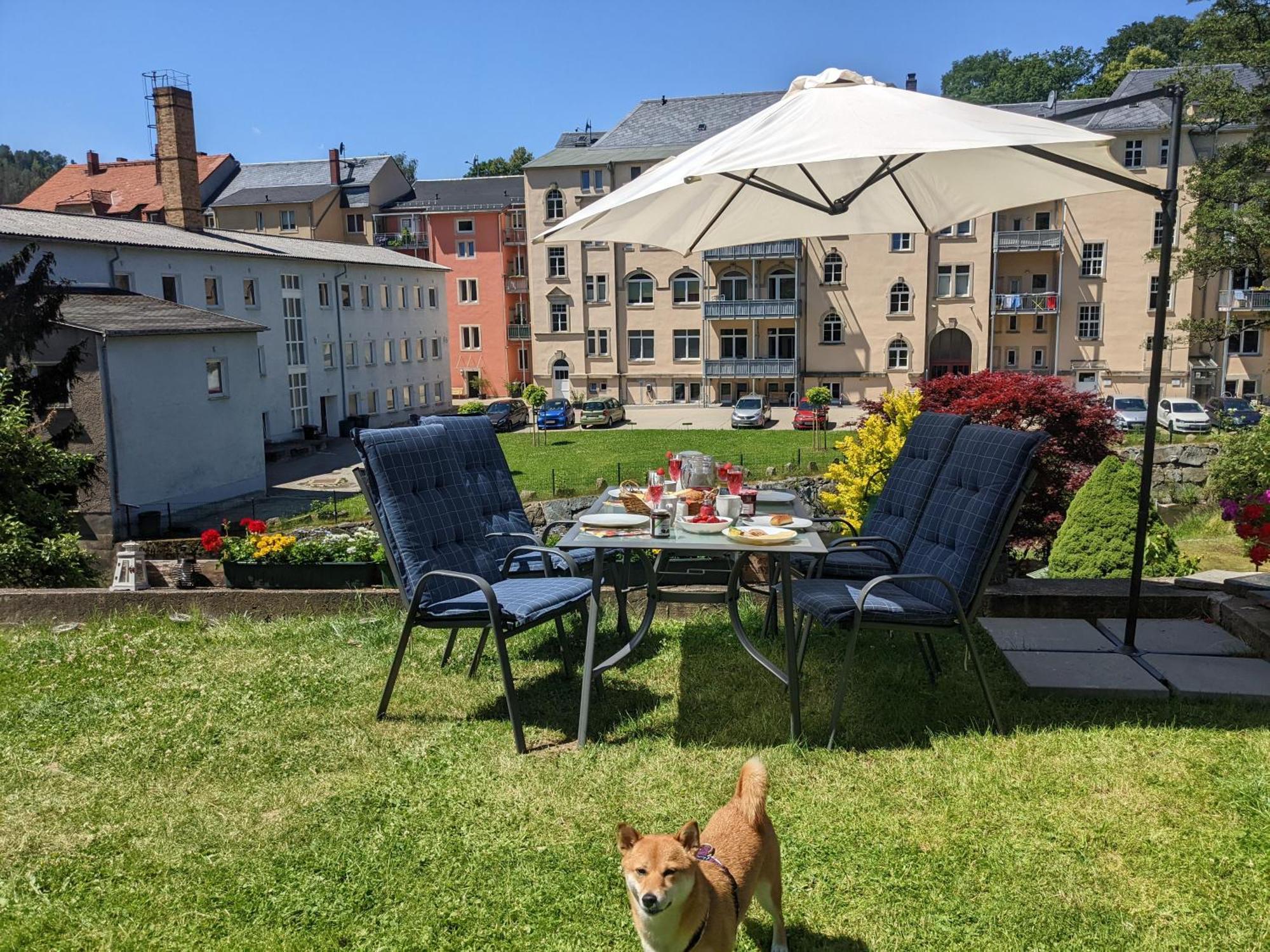 Hw3 - Urlaubsmagie - Helle, Grosse Wohnung Mit Pool Sebnitz Dış mekan fotoğraf