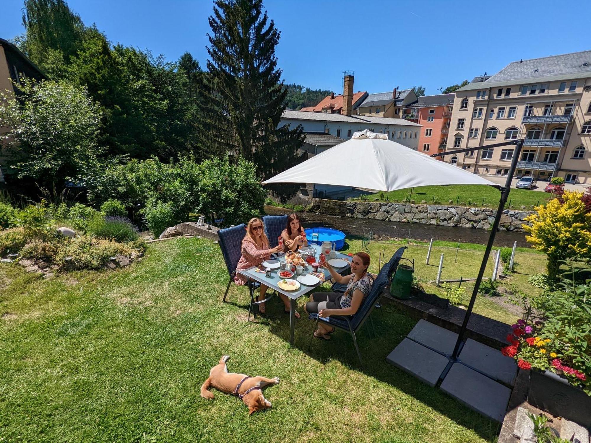 Hw3 - Urlaubsmagie - Helle, Grosse Wohnung Mit Pool Sebnitz Dış mekan fotoğraf